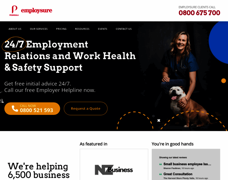Employsure.co.nz thumbnail