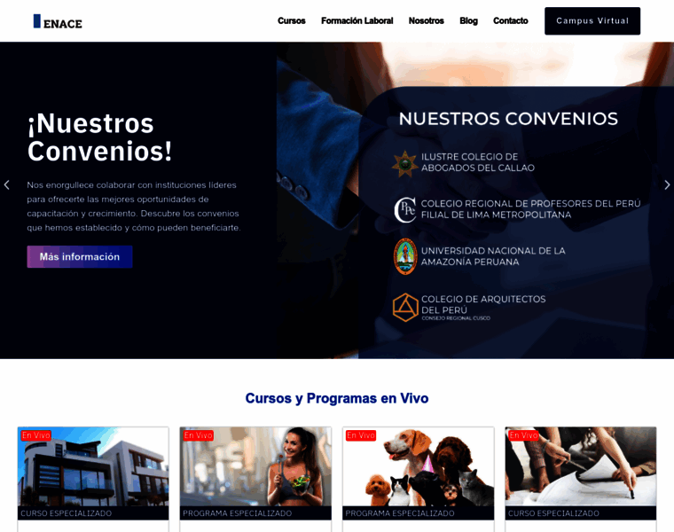 enace.edu.pe at WI. Escuela Nacional de Asesoría y Capacitación Empresarial