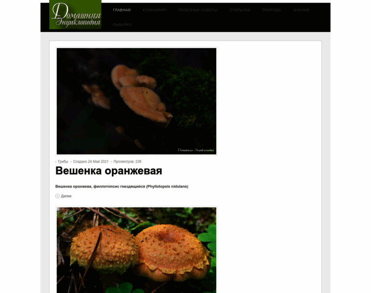 Encdom.ru thumbnail