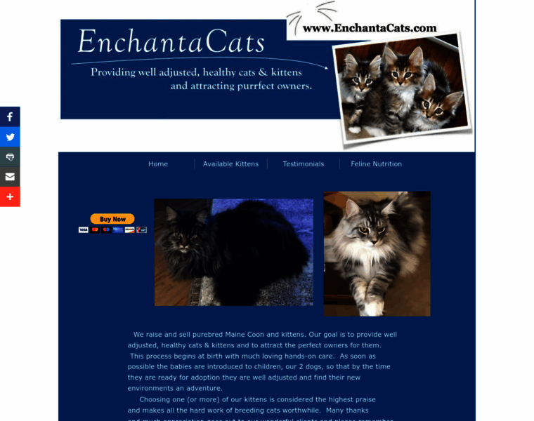 Enchantacats.com thumbnail