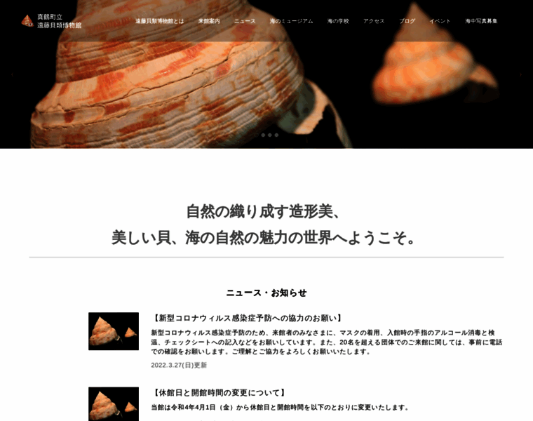 Endo-shellmuseum.jp thumbnail