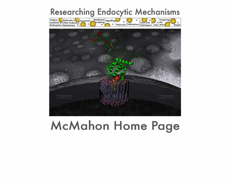 Endocytosis.org thumbnail