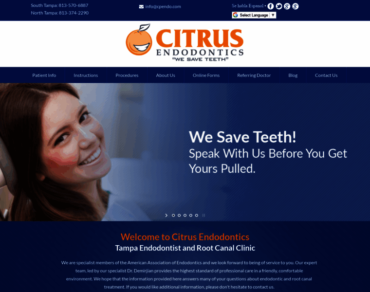 Endodontisttampa.com thumbnail