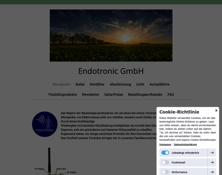 Endotronic-gmbh.de thumbnail
