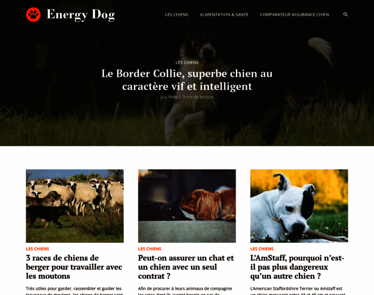 Energydog.fr thumbnail