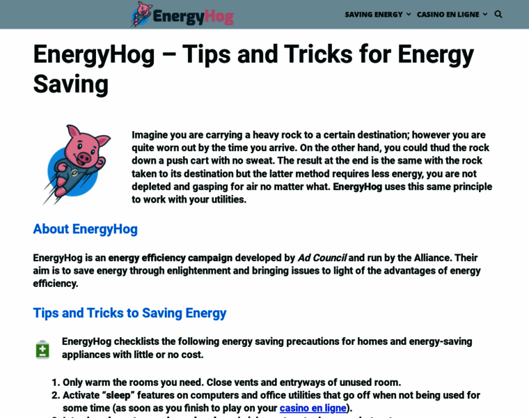Energyhog.org thumbnail