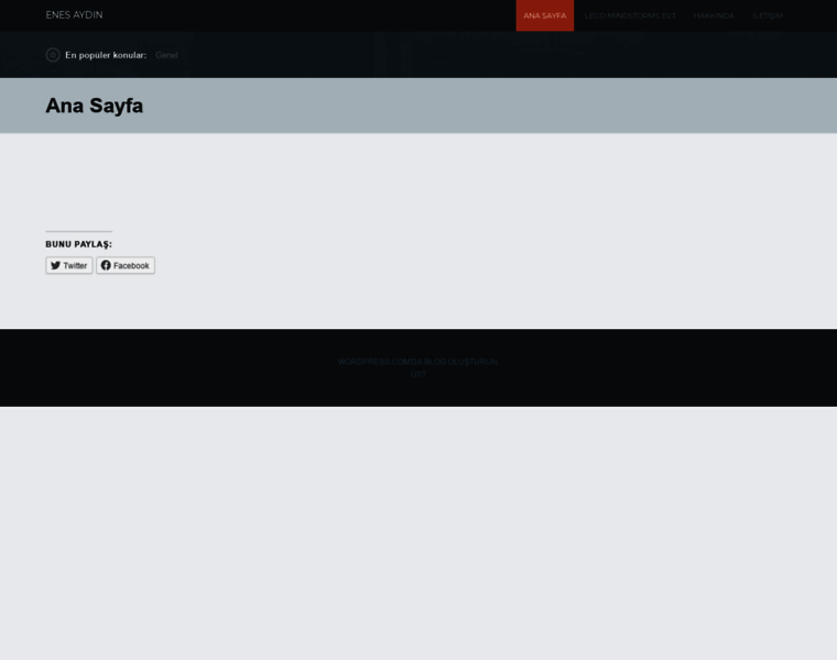 Enesaydin.net thumbnail