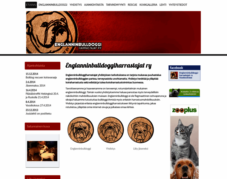 Englanninbulldoggiharrastajat.com thumbnail