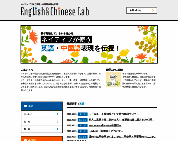English-chinese-lab.com thumbnail