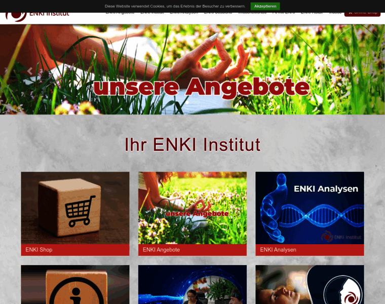 Enki-institut.com thumbnail