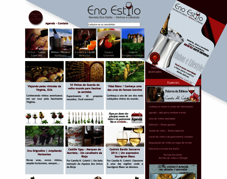 Enoestilo.com.br thumbnail