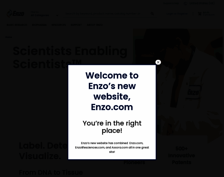 Enzo.com thumbnail