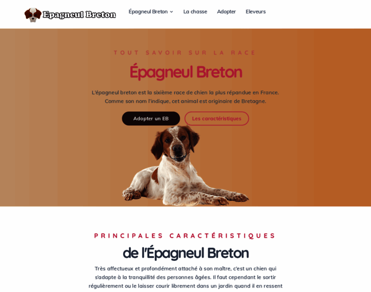 Epagneul-breton.ws thumbnail