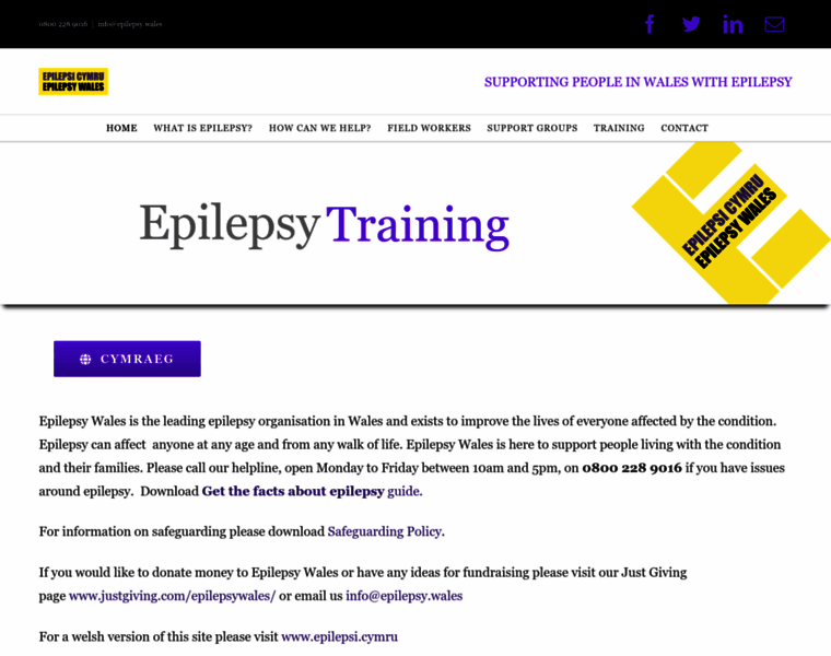 Epilepsy.wales thumbnail
