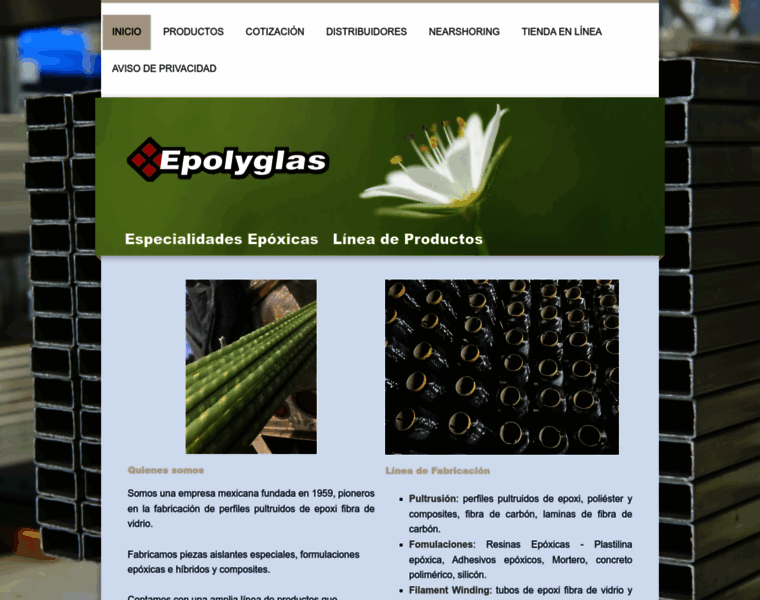 Epolyglas.com thumbnail