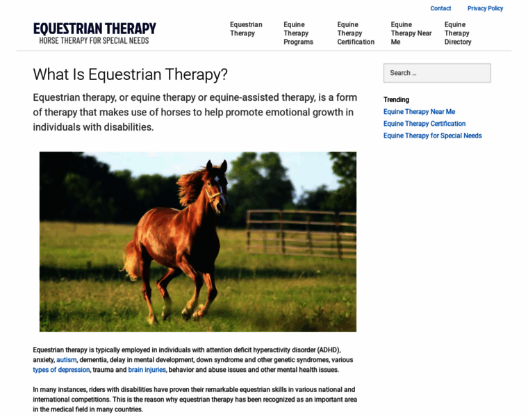 Equestriantherapy.com thumbnail