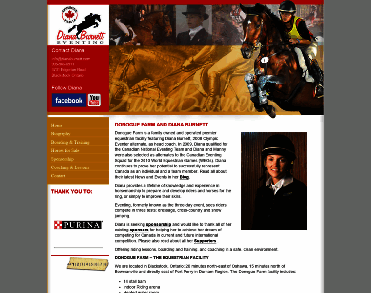 Equestriantrainingboardinglessons.com thumbnail