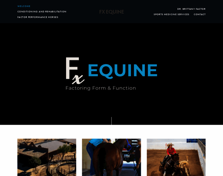 Equinesportsolutions.com thumbnail