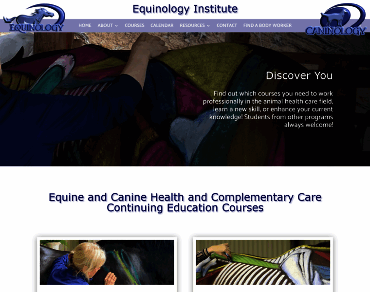 Equinology.com thumbnail