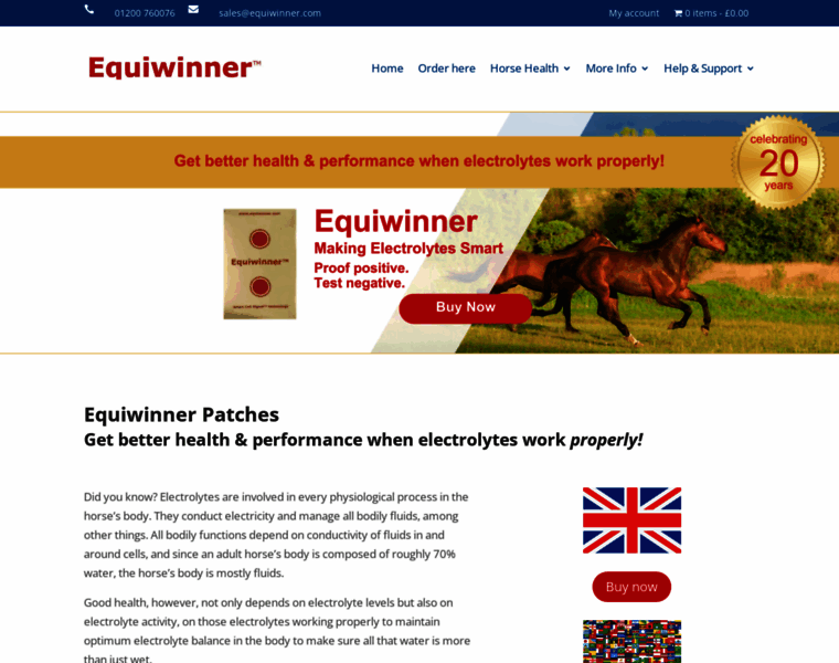 Equiwinner.com thumbnail