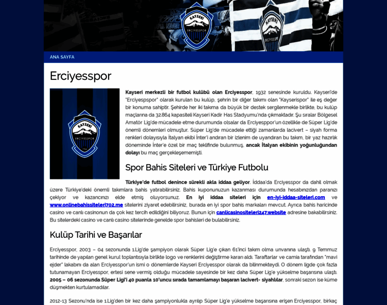 Erciyesspor.org thumbnail
