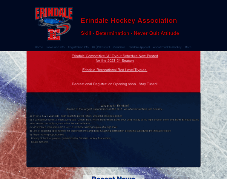 Erindalehockey.com thumbnail