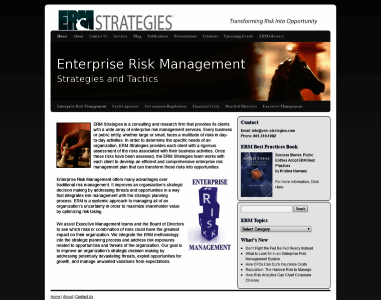 Erm-strategies.com thumbnail