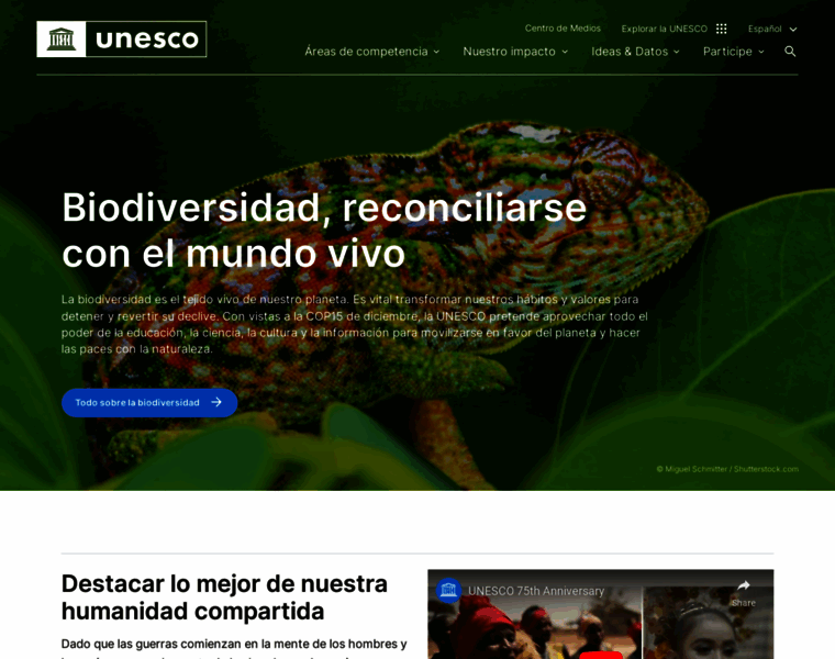 Es.unesco.org thumbnail
