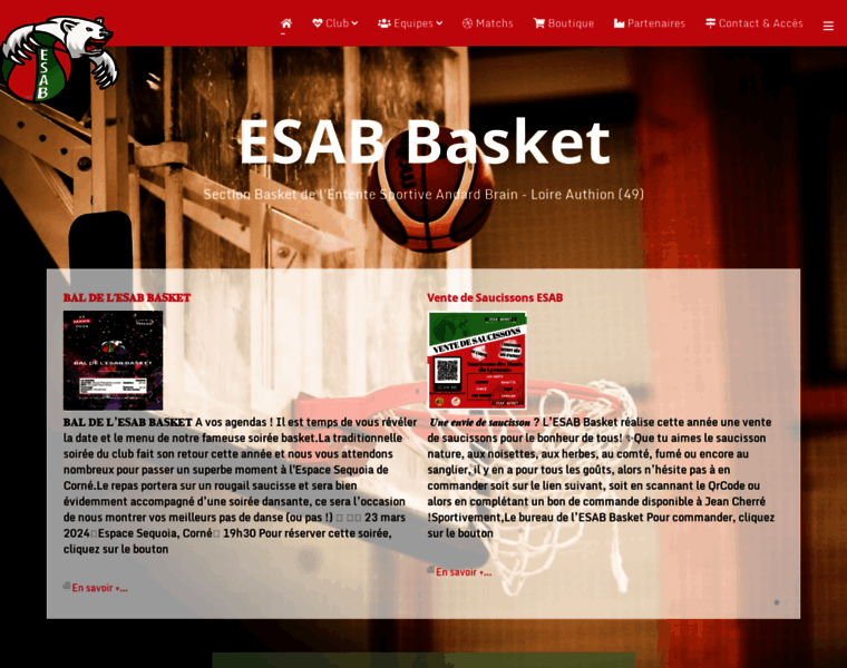 Esab-basket.fr thumbnail