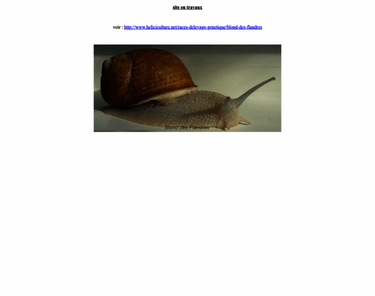 Escargot-blond-des-flandres.com thumbnail Escargot-blond-des-flandres.com thumbnail