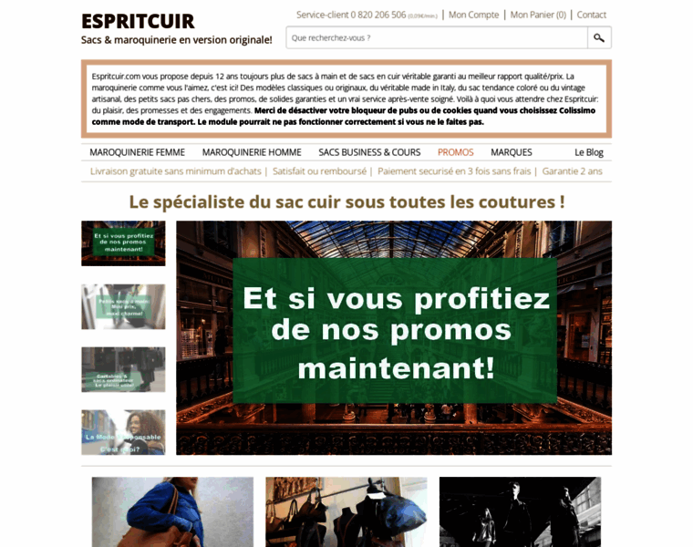 Espritcuir.com thumbnail