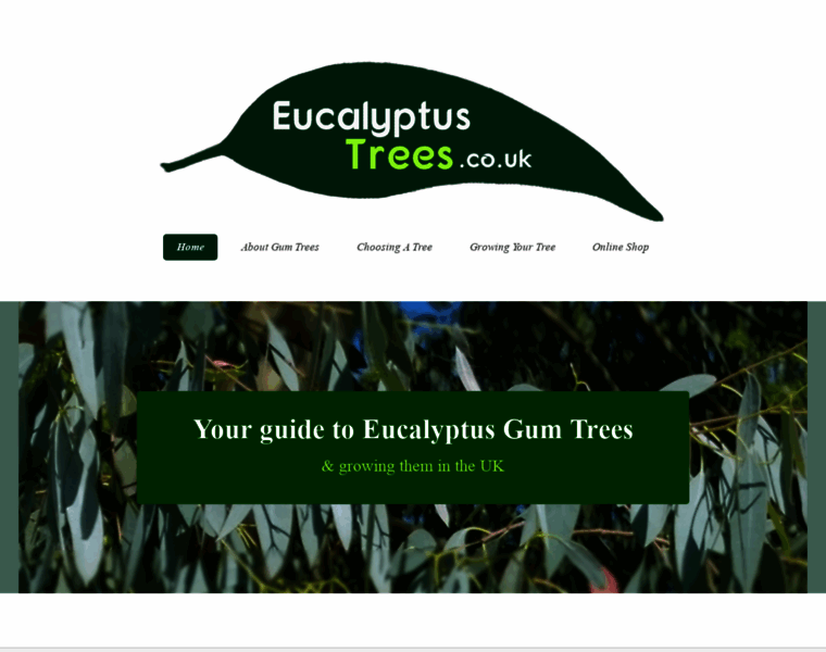 Eucalyptus-trees.co.uk thumbnail