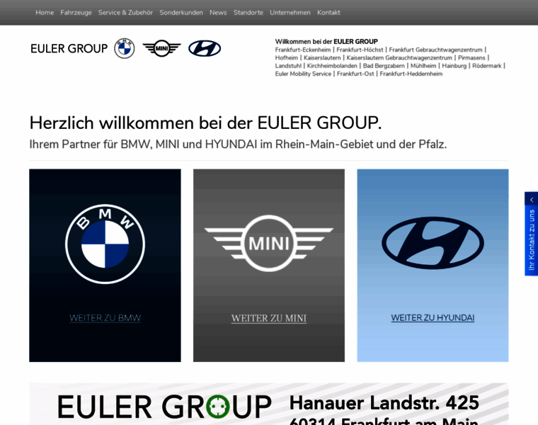 Euler-group.de thumbnail