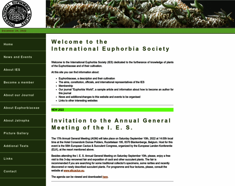 Euphorbia-international.org thumbnail