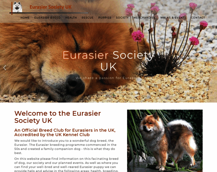 Eurasiersociety.org.uk thumbnail