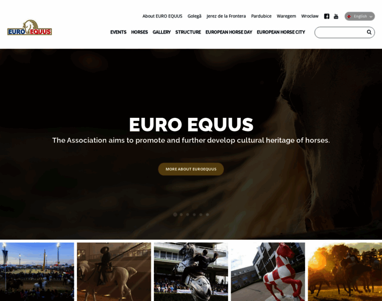 Euro-equus.eu thumbnail