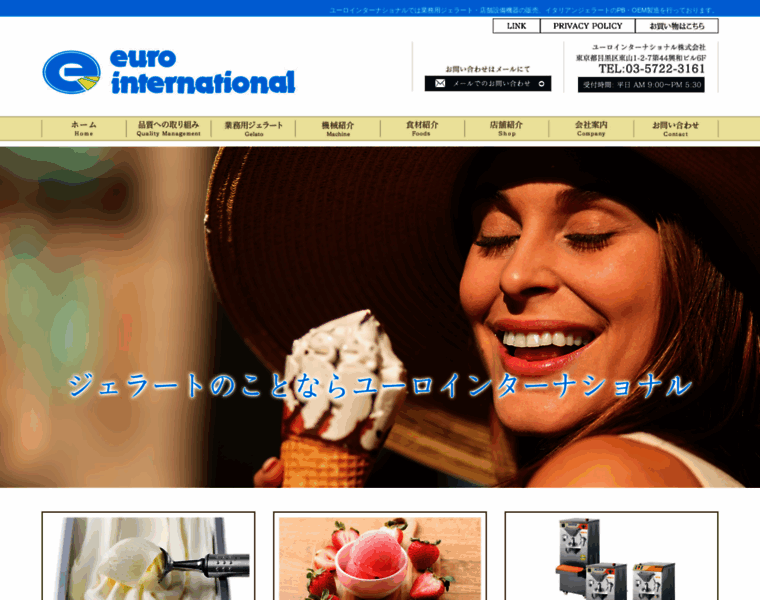 Euroint.co.jp thumbnail