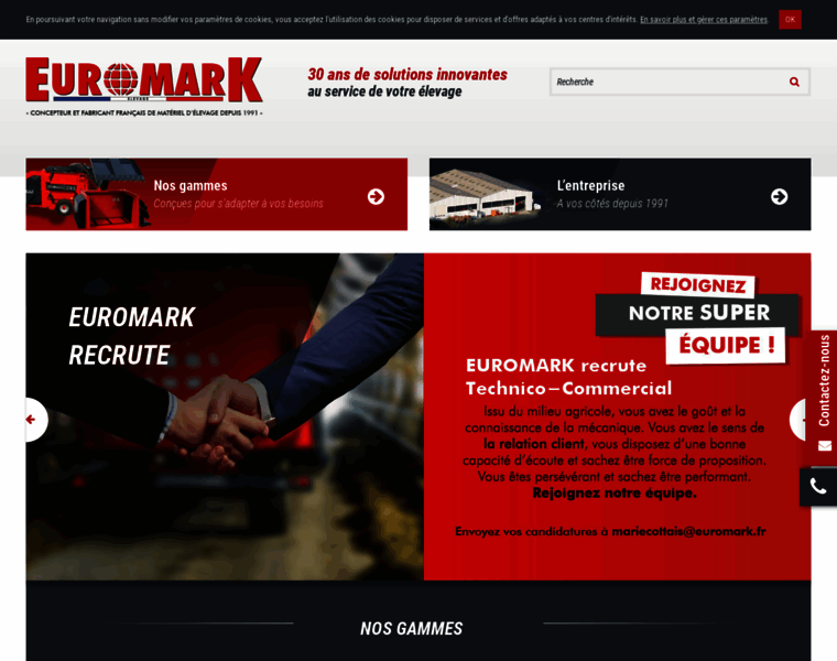 Euromark.fr thumbnail