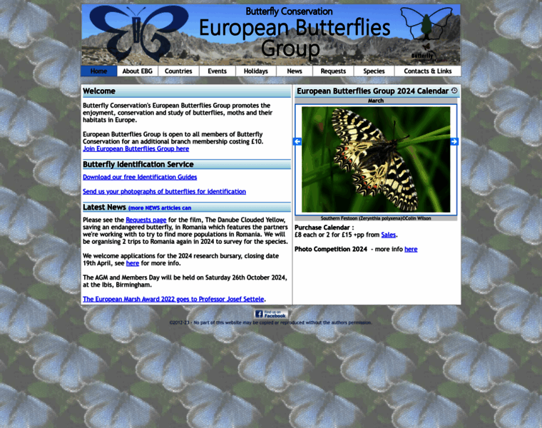 European-butterflies.org.uk thumbnail