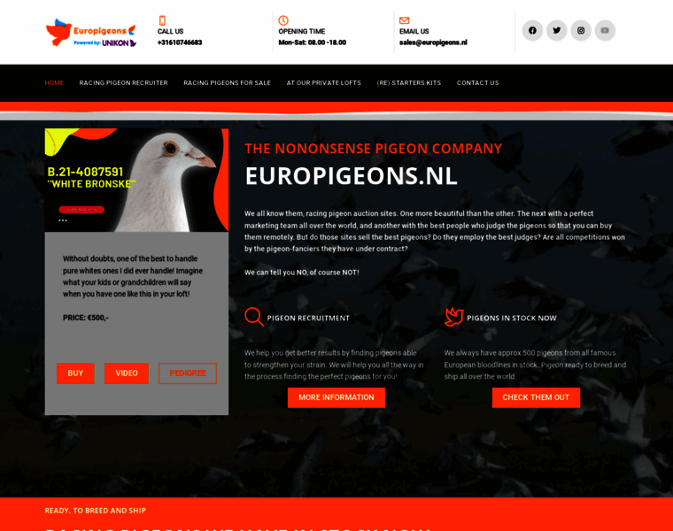 Europigeons.nl thumbnail