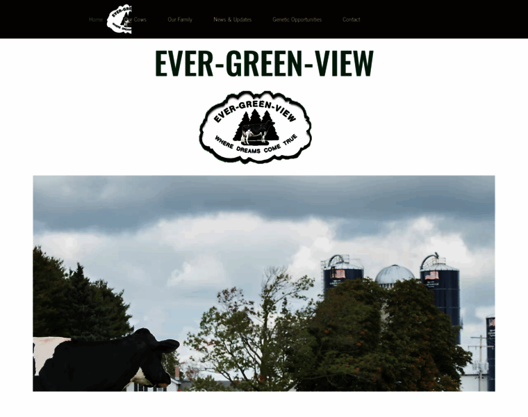 Ever-green-view.com thumbnail