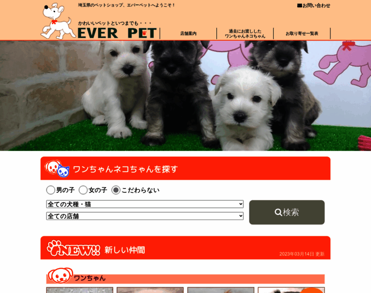 Ever-pet.com thumbnail