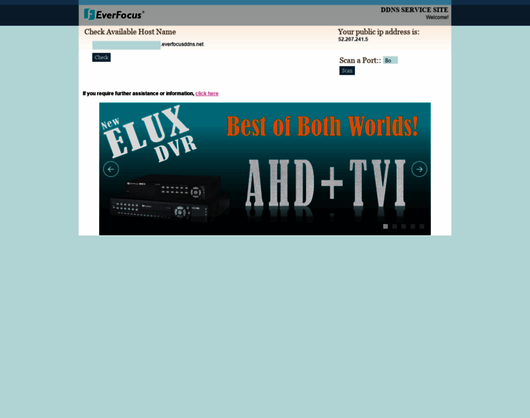 Everfocusddns.net thumbnail