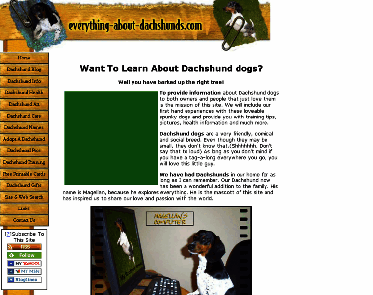 Everything-about-dachshunds.com thumbnail