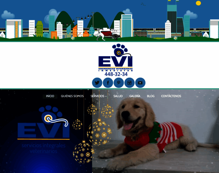 Evi.com.co thumbnail