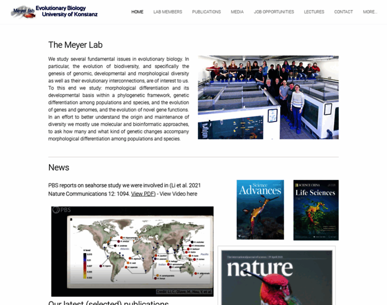 Evolutionsbiologie-uni-konstanz.com thumbnail Evolutionsbiologie-uni-konstanz.com thumbnail