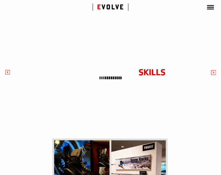 Evolve-group.com thumbnail