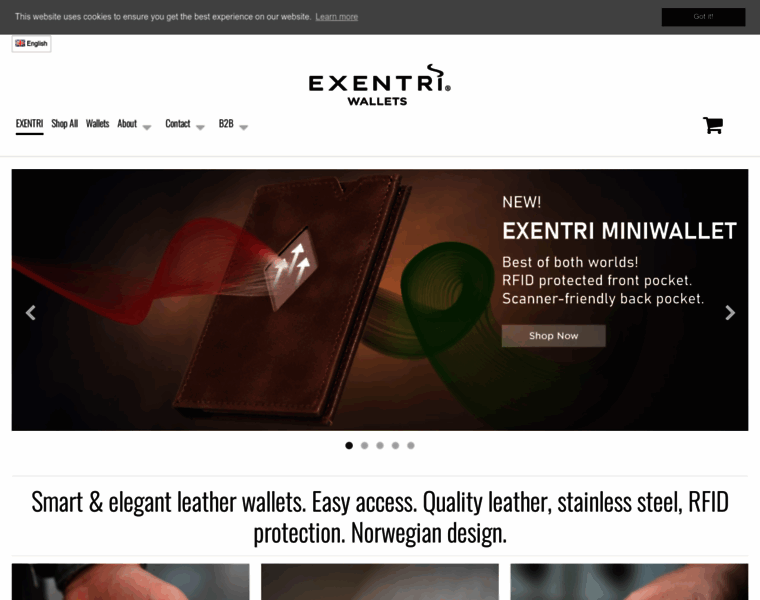 Exentri.com thumbnail