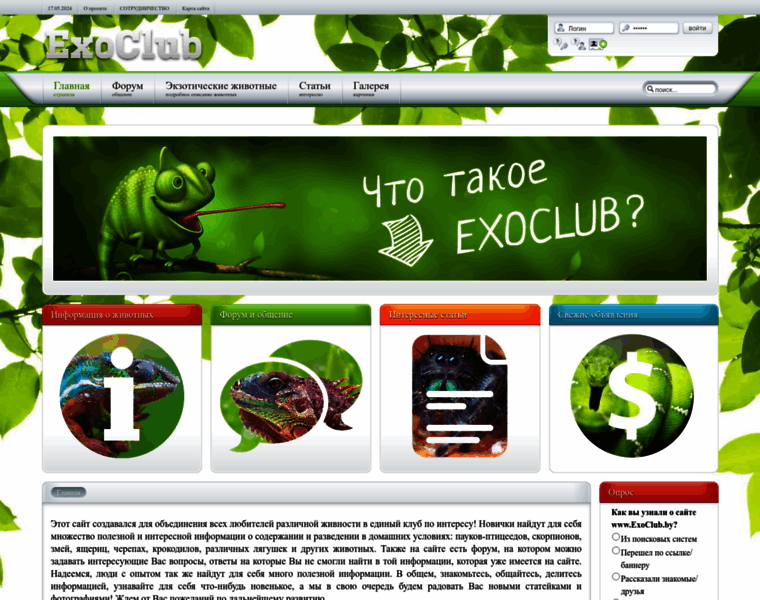 Exoclub.by thumbnail