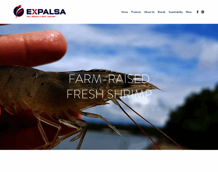 Expalsa.com thumbnail